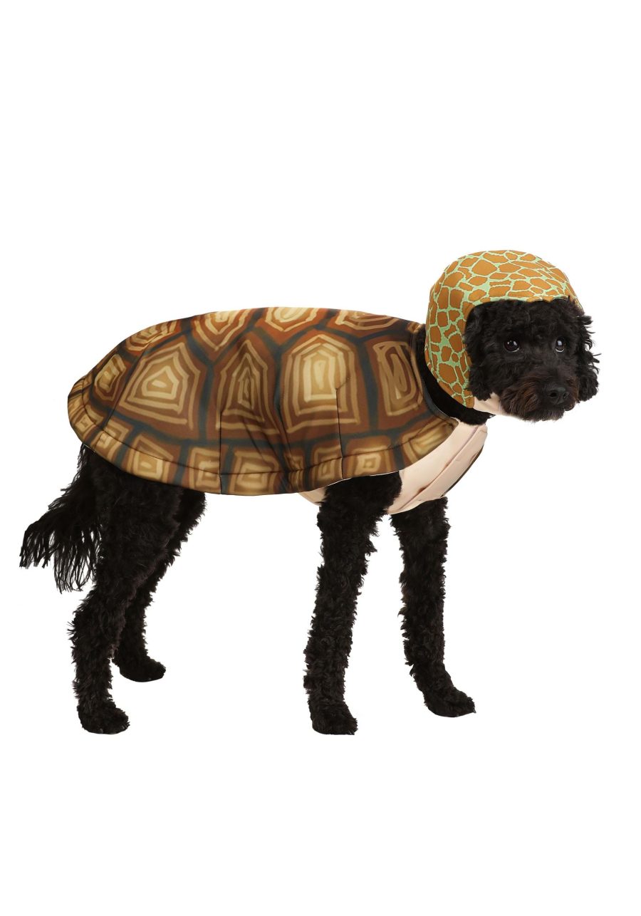 Turtle Dog Costume