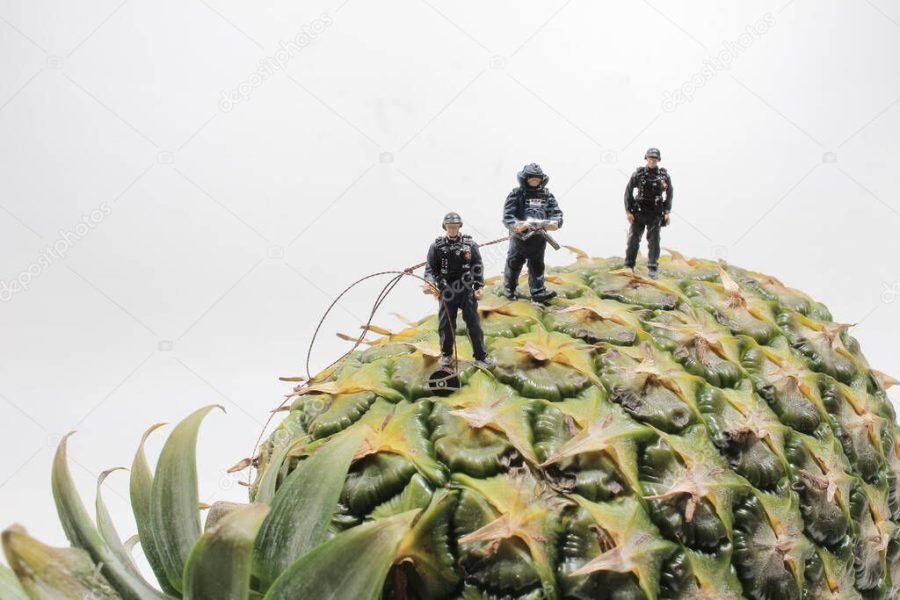 a mini police wear the Bomb Disposal Suit on the Pineapple