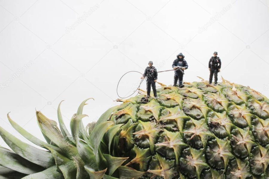 a mini police wear the Bomb Disposal Suit on the Pineapple