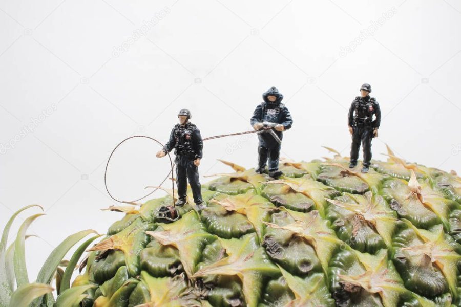 a mini police wear the Bomb Disposal Suit on the Pineapple