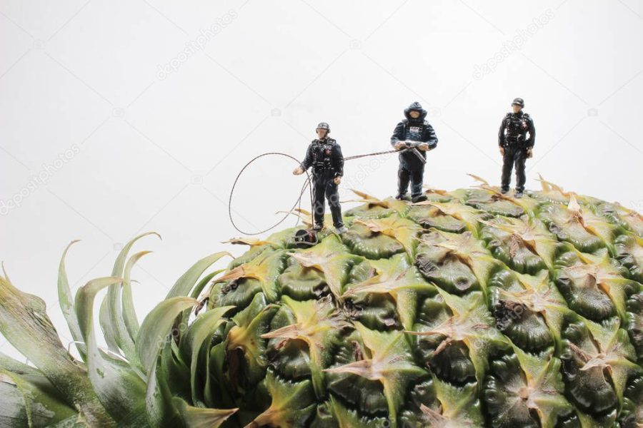 a mini police wear the Bomb Disposal Suit on the Pineapple