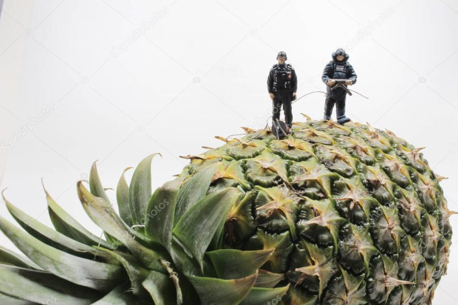 a mini police wear the Bomb Disposal Suit on the Pineapple