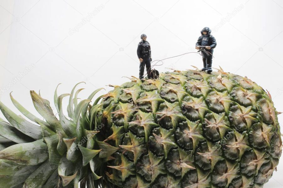 a mini police wear the Bomb Disposal Suit on the Pineapple