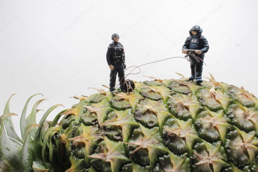 a mini police wear the Bomb Disposal Suit on the Pineapple