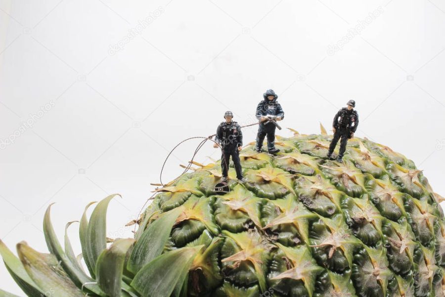 a mini police wear the Bomb Disposal Suit on the Pineapple