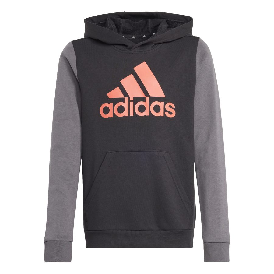 adidas Essentials Big Logo Colorblock Kids Hoodie