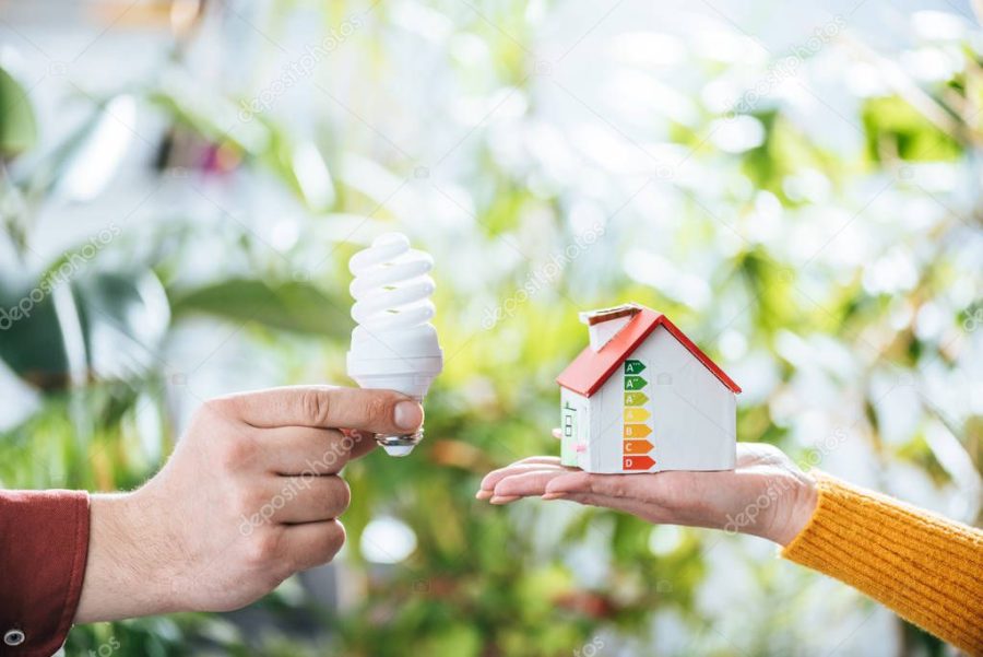 cropped view of man holding fluorescent lamp near woman with carton house in hand, energy efficiency at home concept