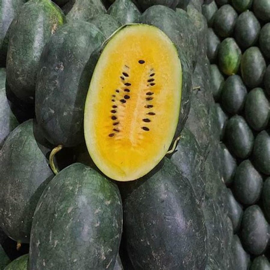 1 Bag of 'Yuanxing 25' Series Black Skin Yellow Flesh Watermelon, 200 Seeds D