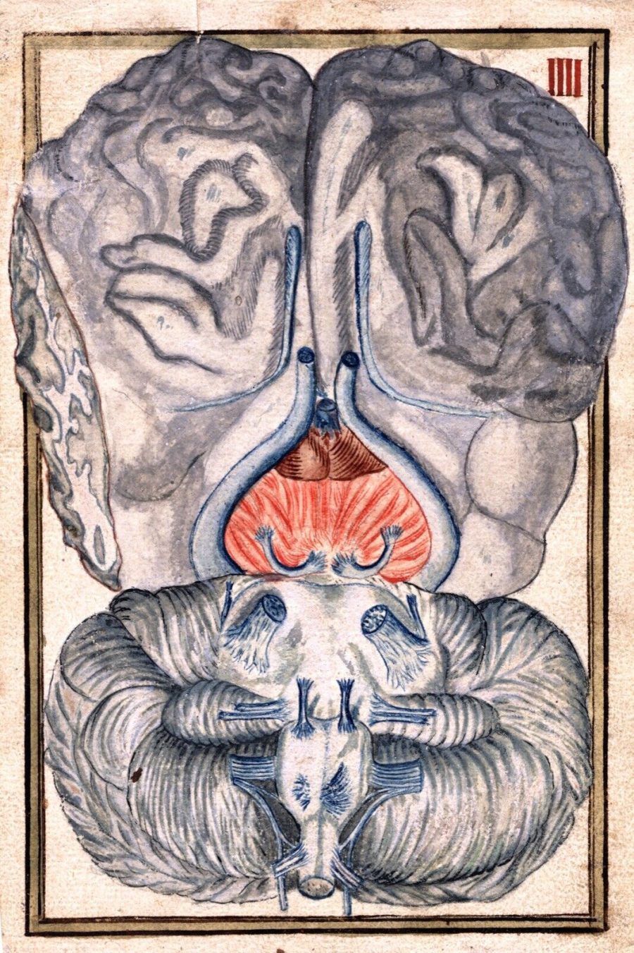 11855.Decor Poster.Room wall.Home design.Human brain anatomy.Vintage early chart