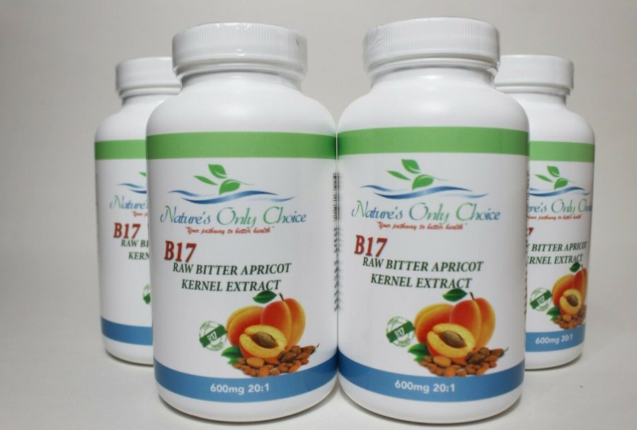 4 PK100% Organic Vitamin B17 600mg from Natural Bitter Apricot Kernel Seeds USA