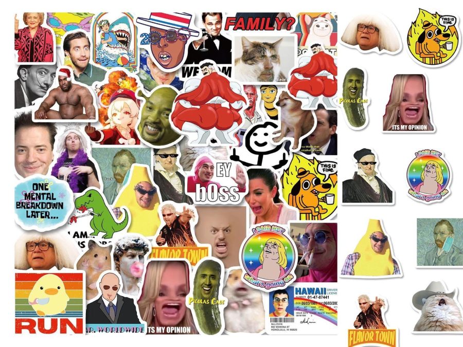 50 Pcs Meme Stickers Pack Stickers for Laptop,Funny Meme Stickers Spoof For Refr