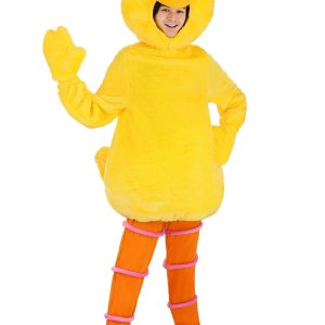 Adult Sesame Street Big Bird Costume