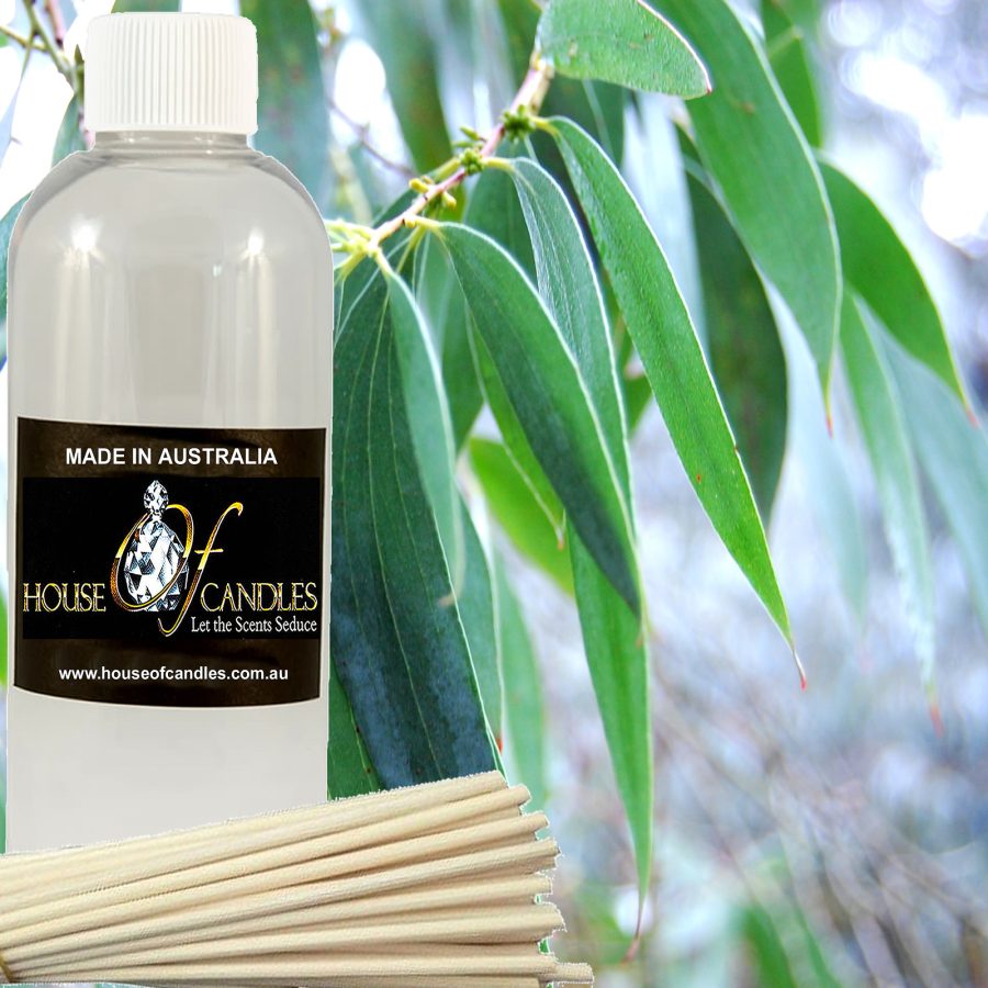 Australian Eucalyptus Scented Diffuser Fragrance Oil & Reeds Air Freshener