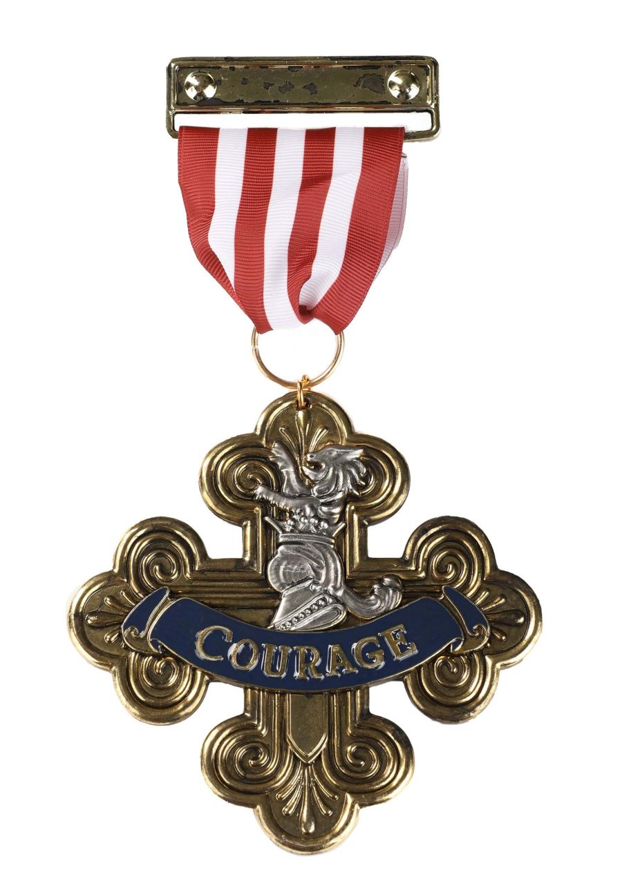 Badge of Courage Accessory