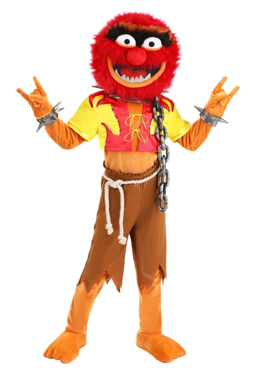 Boy's Disney Muppets Animal Costume