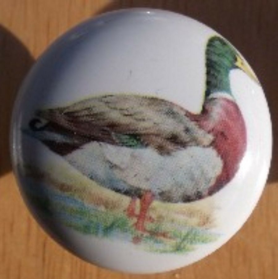 Cabinet Knobs Knob w/ Mallard Duck #2 BIRD