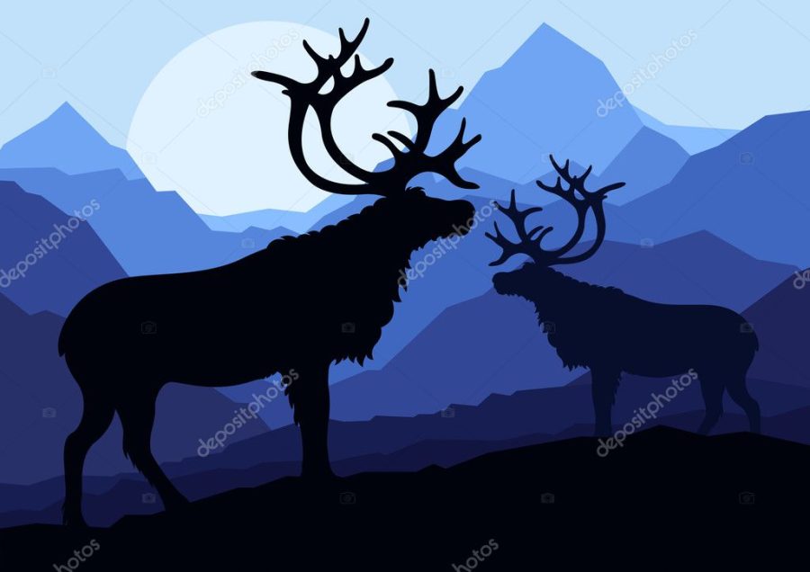 Deer family couple silhouettes in wild mountain nature landscape