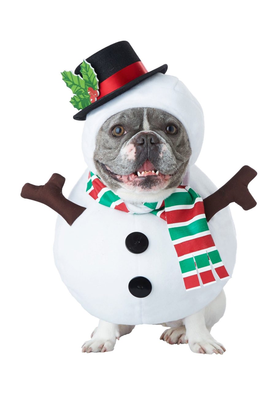 Dog Snowman Costume