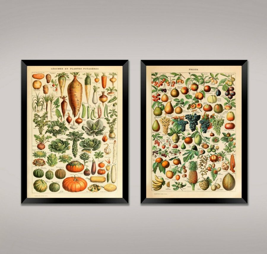 FRUIT AND VEGETABLE PRINTS: Vintage Millot Food Category Posters