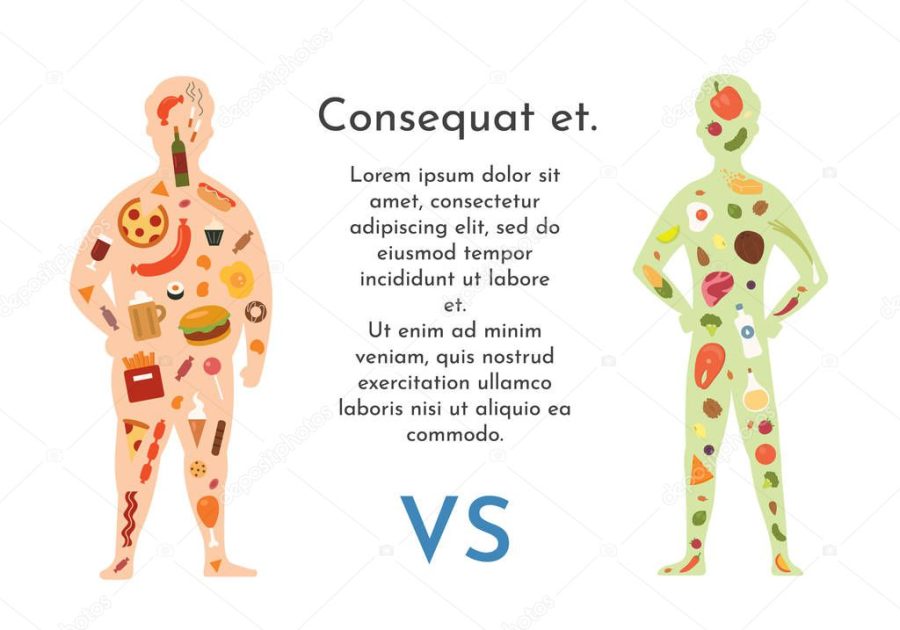 Fat and slender man vector illustration. Healthy food vs fastfood. Healthy and unhealthy nutrition. Human body and junk food vs balanced menu.