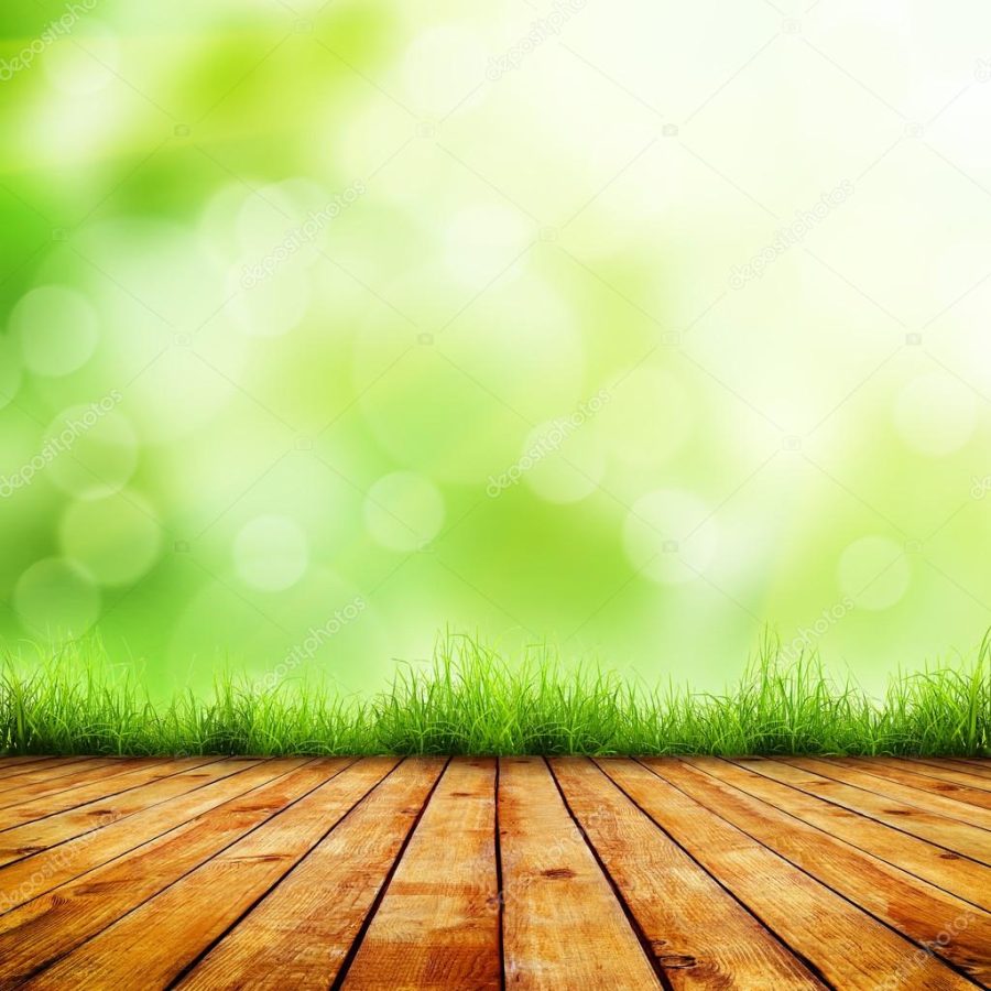 Fresh spring green grass and wood floor