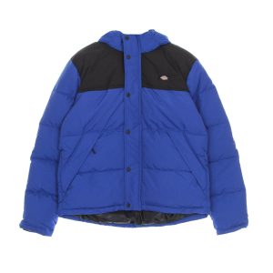 Glacier View Coat Men's Down Jacket True Blue