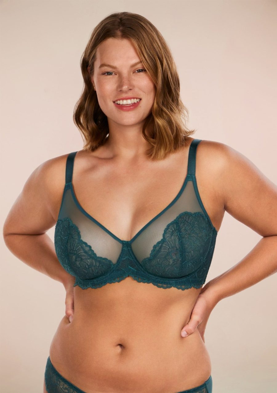 HSIA Blossom Full Figure See-Through Lace Bra for Side and Back Fat - Balsam Blue / 34 / DD/E