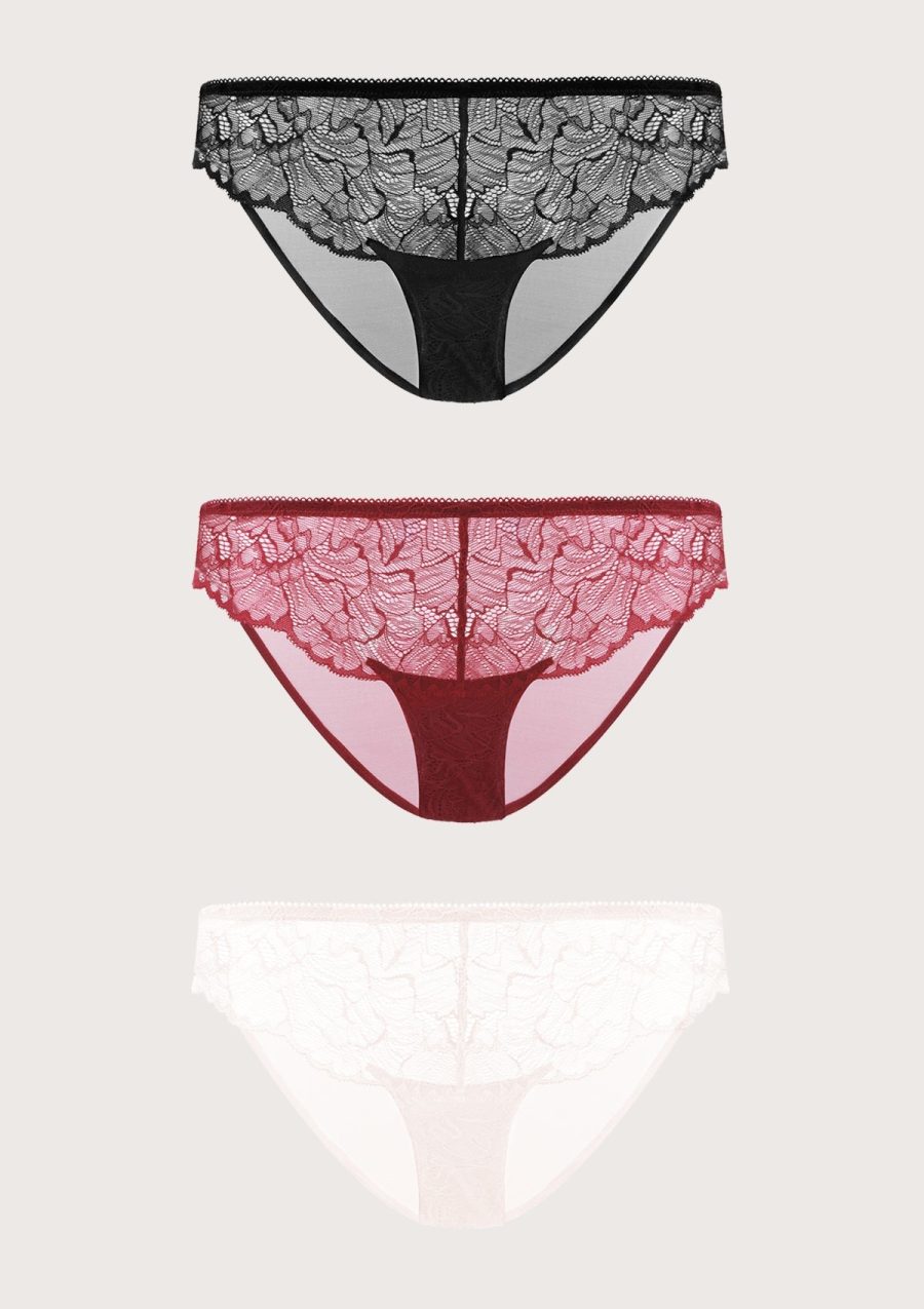 HSIA Blossom Lace Mesh Bikini Underwears 3 Pack - S / Black+Burgundy+Dusty Peach