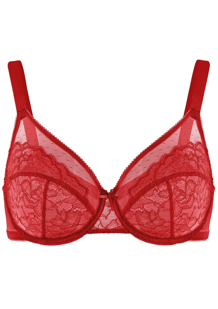 HSIA Enchante Full Support Lace Underwire Bra: Ideal for Big Breasts - Red / 34 / C