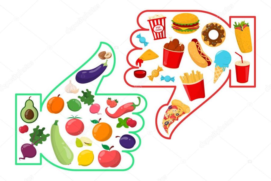 Healthy vs junk food vector isolated. Unhealthy lifestyle with french fries, hamburger and sugar food. Healthy nutrition includes vegetables and fruits.