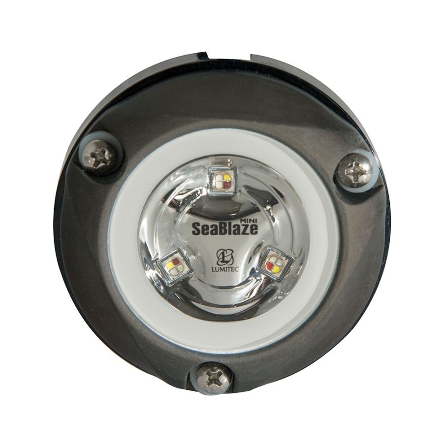 LUMITEC 101456 ZAMBEZI MINI SURFACE MOUNT UNDERWATER LIGHT