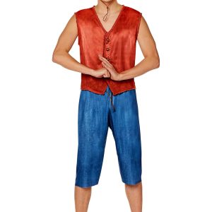 One Piece Men's Luffy Costume