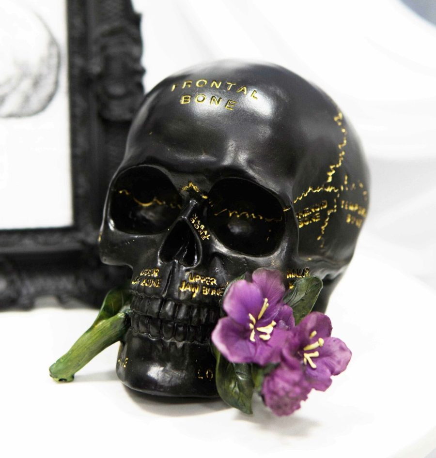 Paranormal Witch Romantic Lobotomy Brain Anatomy Skull With Purple Flower Statue