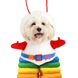 Rainbow Brite Sprite Pet Dog Costume