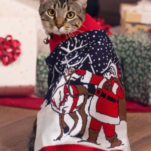 Santa and Reindeer Sweater for Pets