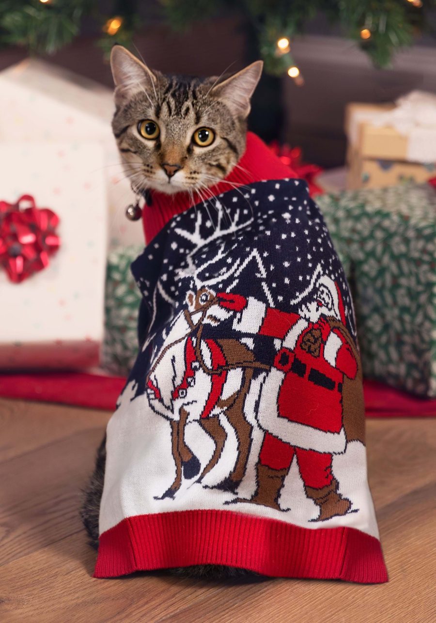 Santa and Reindeer Sweater for Pets