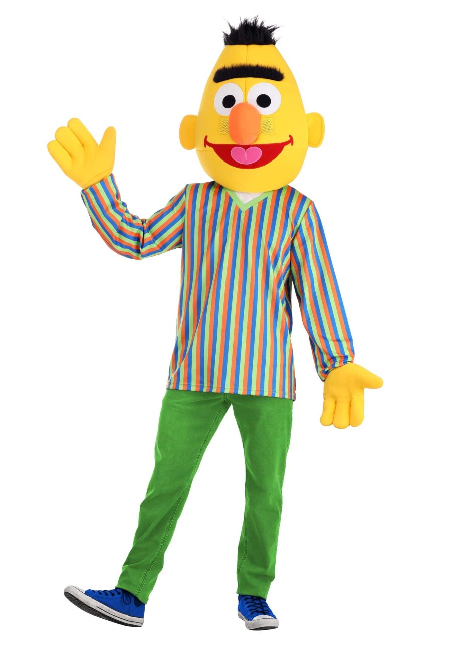 Sesame Street Adult Bert Costume