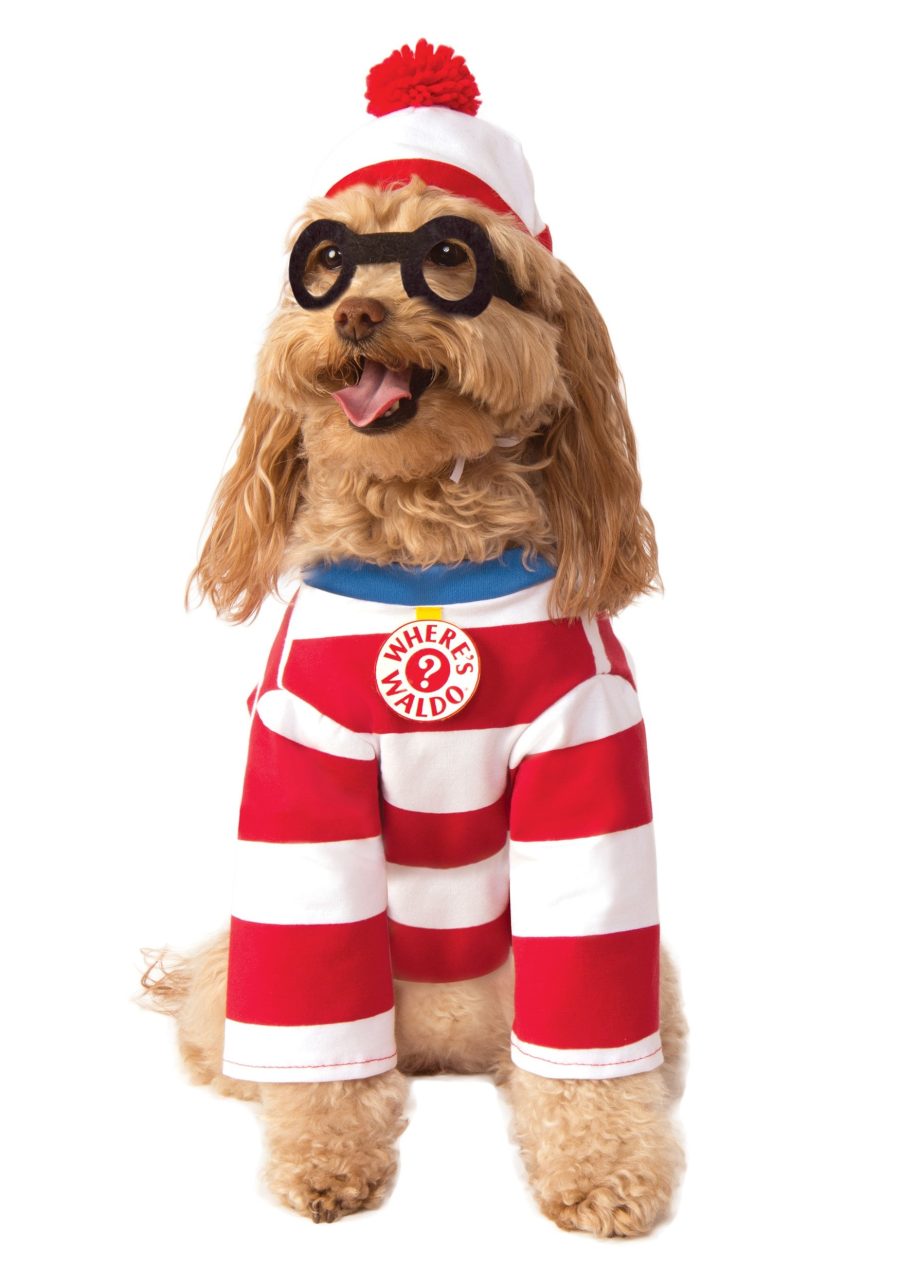 Where's Waldo Pet Costume