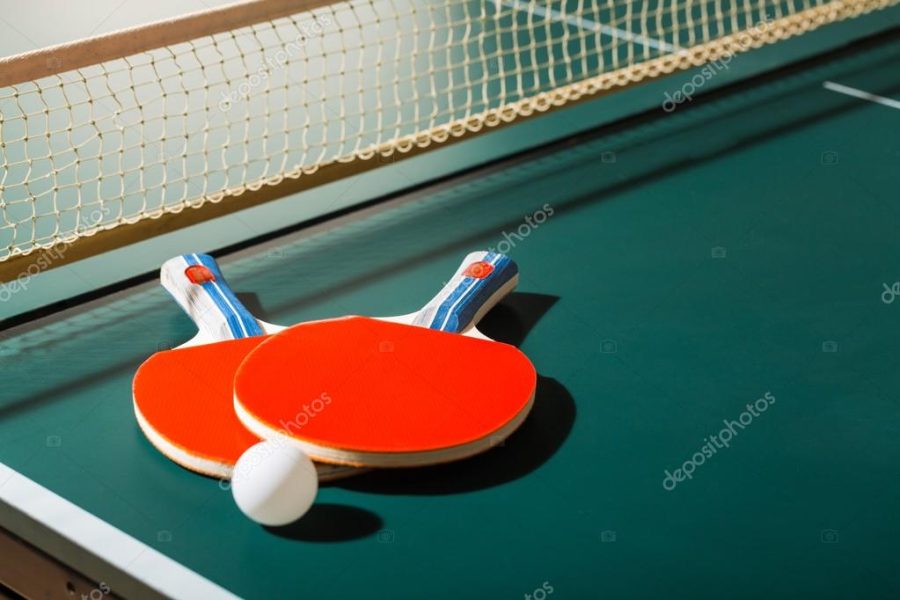 professional ping pong rockets