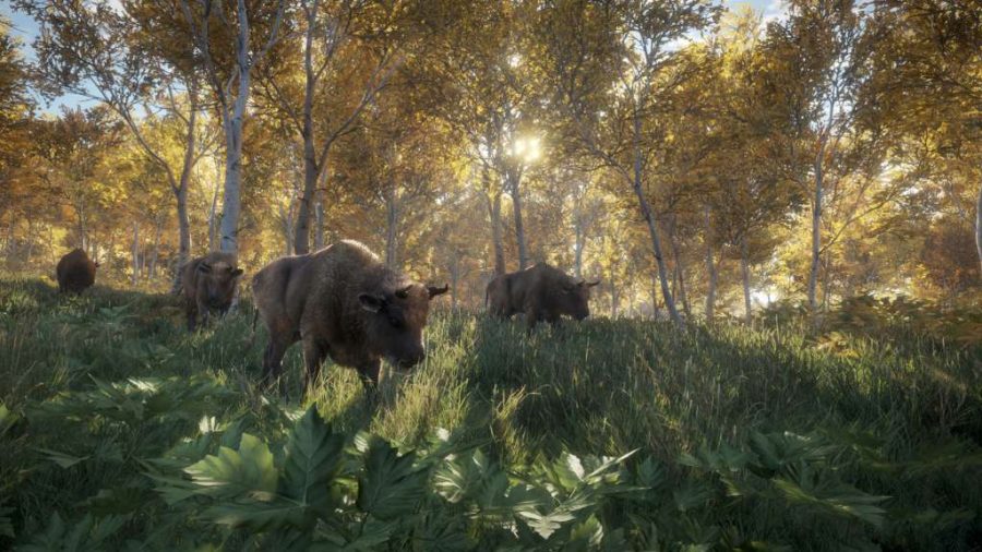 theHunter: Call of the Wild XBOX One / Xbox Series X|S Account