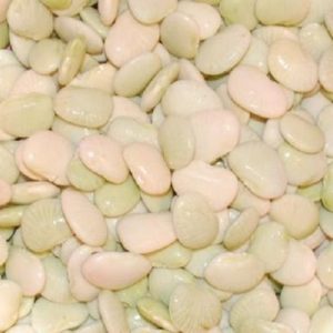 25 Seeds Henderson Bush Baby Lima Bean