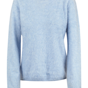 Absolute Cashmere. - Maglia - 441684 - Blue