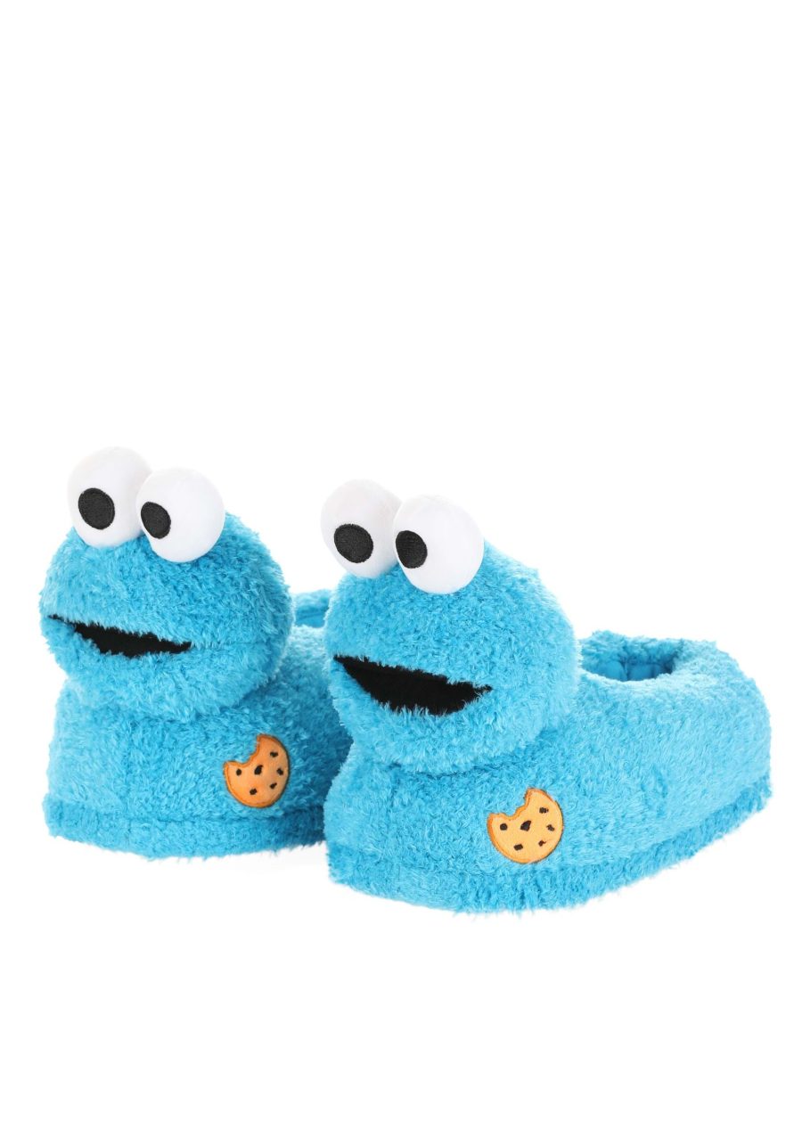 Adult Cookie Monster Plush Slippers