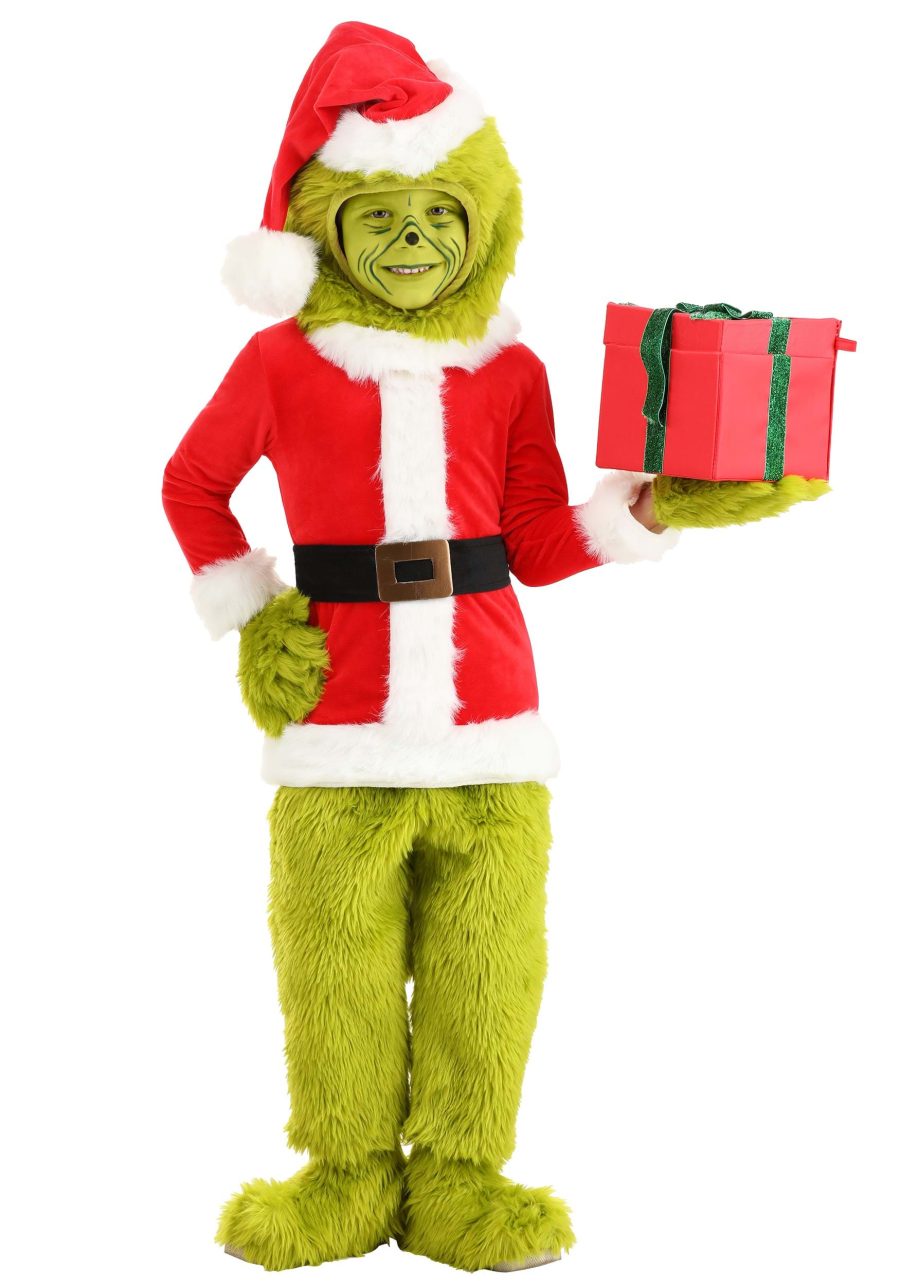 Dr. Seuss Grinch Santa Open Face Costume for Toddlers