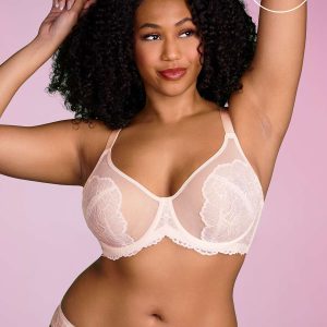 HSIA Blossom Sheer Lace Bra: Comfortable Underwire Bra for Big Busts - Dusty Peach / 34 / G