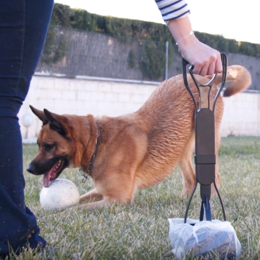 Long-Handle Dog Pooper Scooper