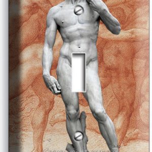 MICHELANGELO DAVID NAKED SCULPTURE SINGLE LIGHT SWITCH WALL PLATE ROOM ART DECOR