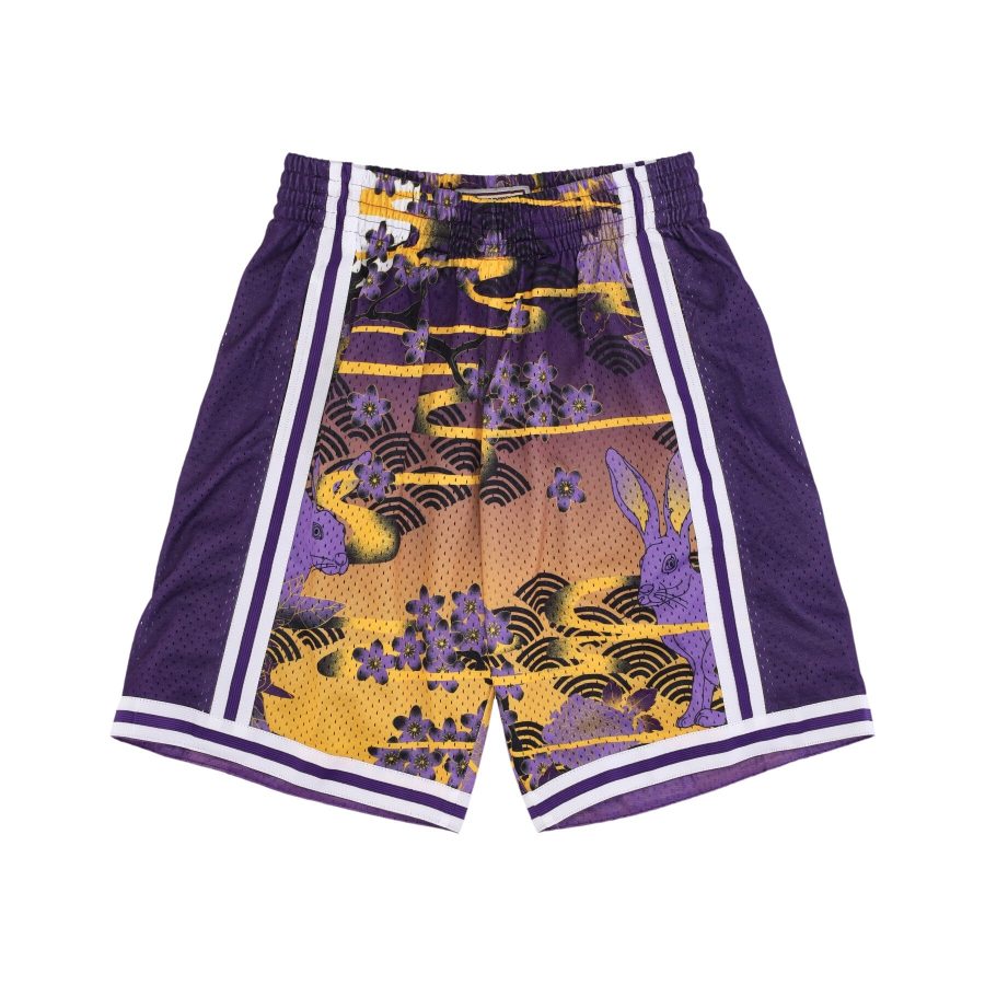 Men's Basketball Shorts Nba Ah Swingman Short 5.0 Hardwood Classics 1996 Loslak Purple/yellow