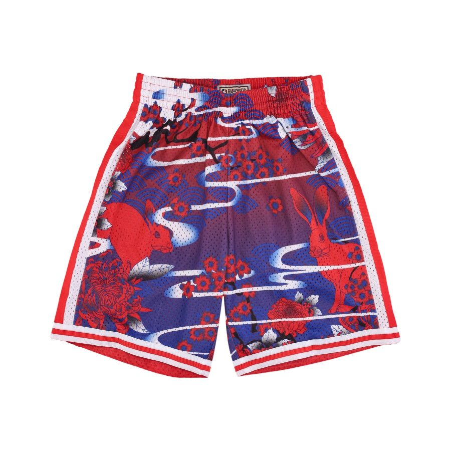 Men's Basketball Shorts Nba Ah Swingman Short 5.0 Hardwood Classics 1998 Phi76e Red/royal