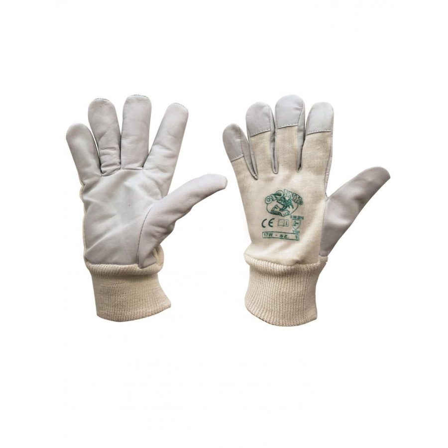 Payper Gloves 17w